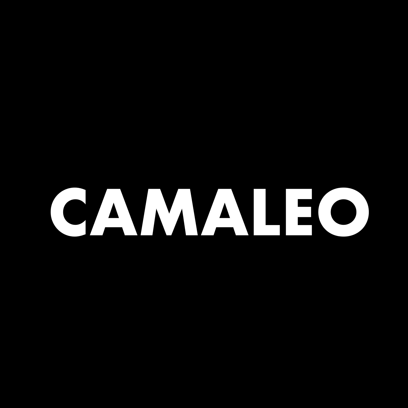 Camaleo Film