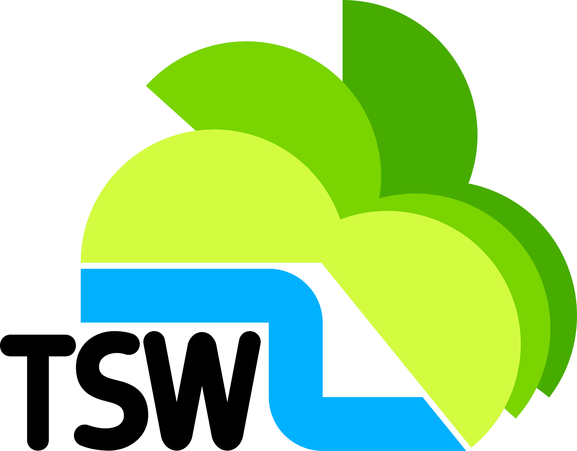 Television South West