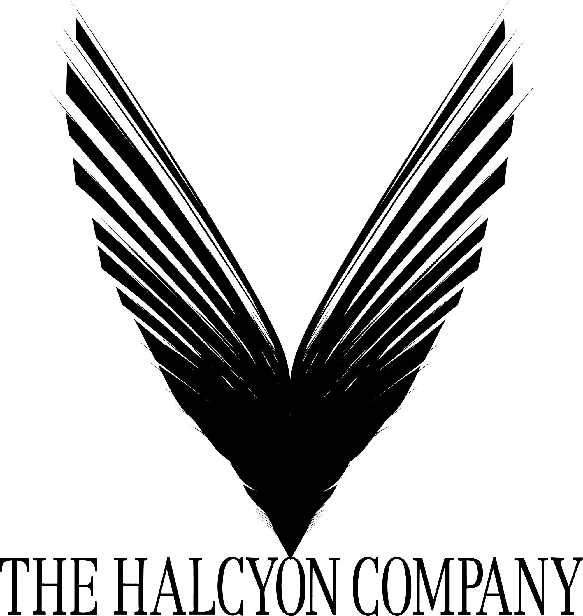 The Halcyon Company